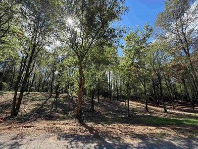 /international/us/310-co-rd-1123-vinemont-al-110103230964/