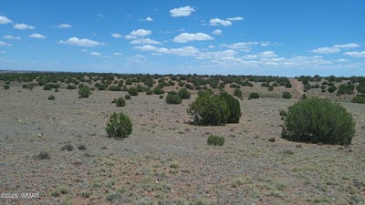 /international/us/tbd-ranch-of-the-white-mountains-concho-az-110101037665/