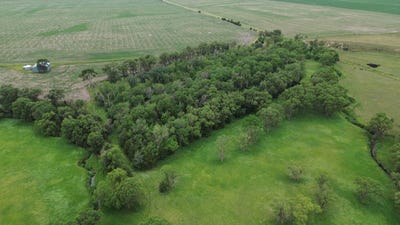 /international/us/ash-creek-ave-beresford-sd-110101127415/?lang=en