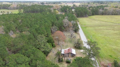 /international/us/1465-jakes-rd-turbeville-sc-110104614244/