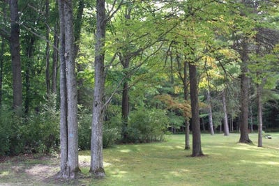 /international/us/11831-woody-road-roscommon-mi-110107801342/