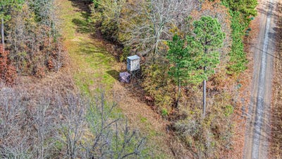 /international/us/cedar-branch-road-hattieville-ar-110103204152/