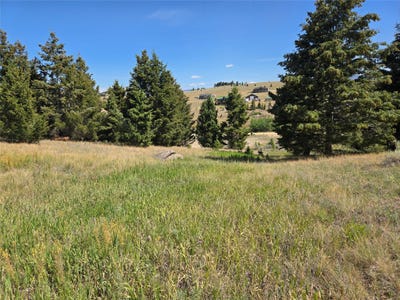 /international/us/chalet-loop-lot-84-butte-mt-110101210743/