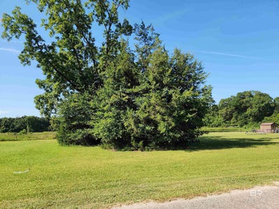 /international/us/00-mcrae-street-atmore-al-110100926272/