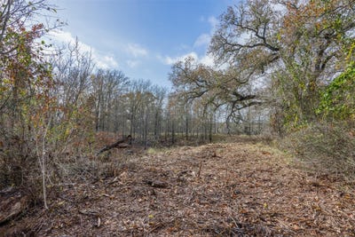 /international/us/1050-bugtussle-ln-luling-tx-110107308300/