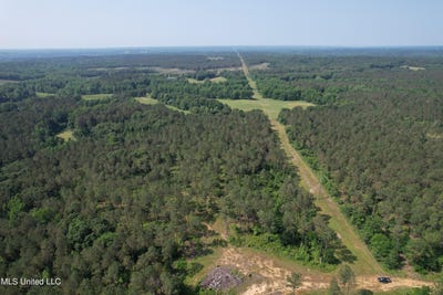 /international/us/county-rd-323-taylor-ms-110085121883/