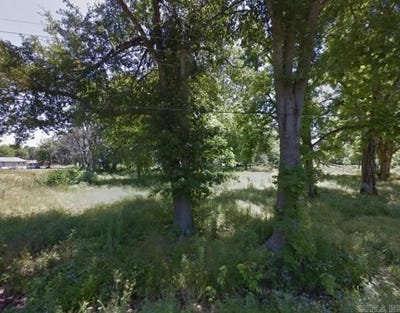 /international/us/n-hardy-street-lot-1-dermott-ar-110104192083/