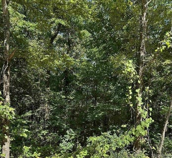 /international/us/3-5-acres-heber-springs-road-locust-grove-ar-110106178824/