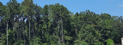 /international/us/37330-reinninger-rd-denham-springs-la-110110243774/