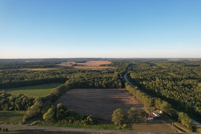 /international/us/17232-sandy-ridge-rd-tamms-il-110120080735/