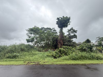 /international/us/16-2142-rainbow-dr-pahoa-hi-110119968653/