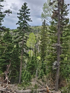 /international/us/lot-39-west-village-beaver-ut-110099908265/
