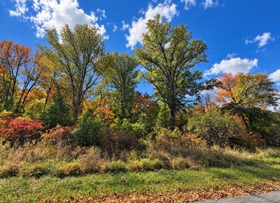 /international/us/rutsonville-road-wallkill-ny-110120485313/