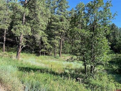 /international/us/916a-easy-street-pagosa-springs-co-110093778934/