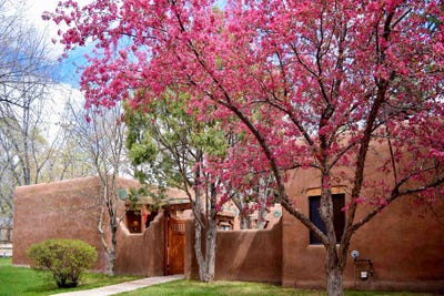 /international/us/226-kit-carson-rd-taos-nm-110106278654/