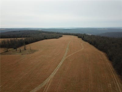 /international/us/liberty-road-leslie-ar-110096946297/