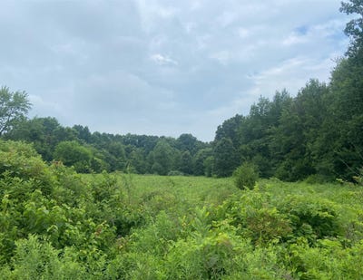 /international/us/52700-parkville-road-three-rivers-mi-110101055730/