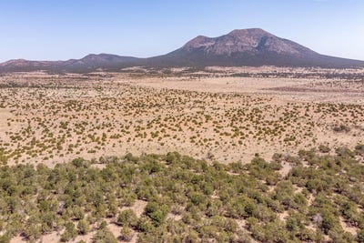 /international/us/e-1-2-nw-1-4-rd-entranosa-edgewood-nm-110105335398/