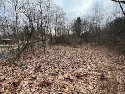 /international/us/0-spruce-dr-center-twp-pa-110097764445/