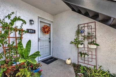 /international/us/3811-n-oak-drive-tampa-fl-110120042329/