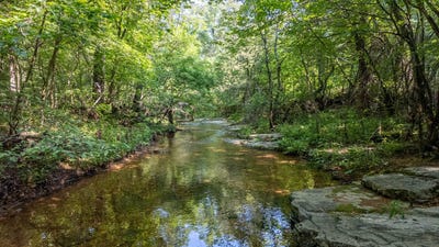 /international/us/tbd-brown-s-creek-road-ravenden-ar-110100240629/?lang=zh-tw
