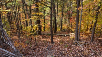 /international/us/lot-42-the-reserve-at-cliffview-zoe-ky-110095511288/?lang=en