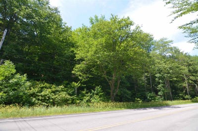 /international/us/1336-route-100-plymouth-vt-110109368900/