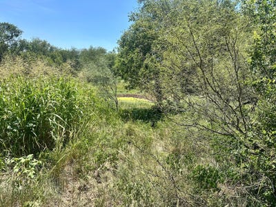 /international/us/161-75-acres-motley-co-matador-tx-110105109132/