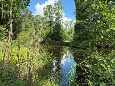 /international/us/1111-hollow-bridge-road-autryville-nc-110100948695/