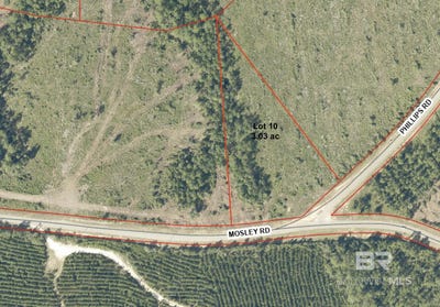 /international/us/mosley-road-lot-rr-lot-10-stapleton-al-110108630781/