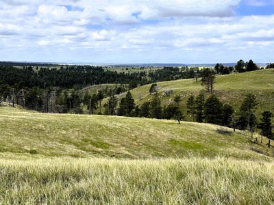 /international/us/tbd-gruenhagen-road-moorcroft-wy-110100979382/