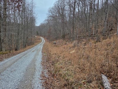 /international/us/evans-hollow-hillsboro-ky-110104930298/