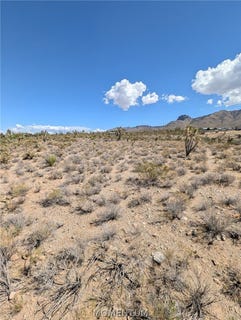 /international/us/319-13-262-n-knoll-dolan-springs-az-110110353764/