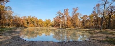 /international/us/1356-county-road-1470-bogata-tx-110098897359/