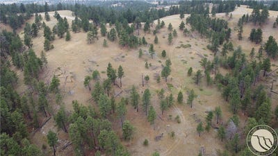 /international/us/pine-crest-road-lot-64-columbus-mt-110107086914/