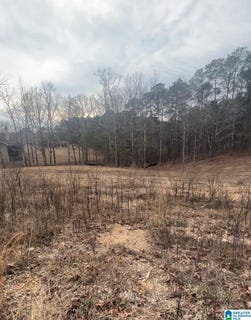 /international/us/lakeshore-loop-lot-1-oneonta-al-110104257737/