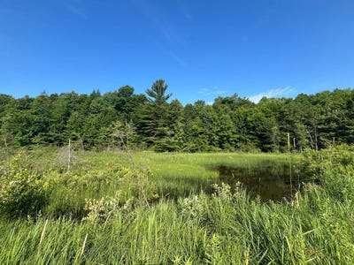 /international/us/00-stone-rd-pitcairn-ny-110096806532/?lang=en