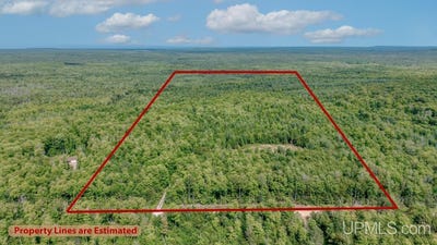 /international/us/673-685-yalmer-road-skandia-mi-110119690283/