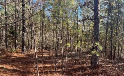 /international/us/5030-sand-mountain-rd-enville-tn-110106316612/