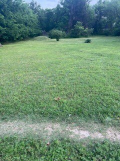 /international/us/11112-elam-road-balch-springs-tx-110107859961/