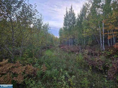 /international/us/sherwood-anderson-rd-britt-mn-110102385020/