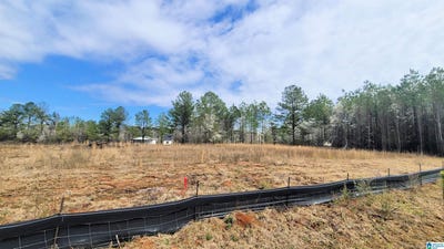 /international/us/1035-chancellors-ferry-loop-harpersville-al-110100126476/?lang=zh-tw