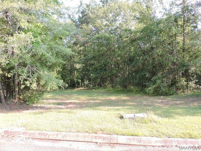 /international/us/white-oak-way-lot-3b-greenville-al-110085411203/