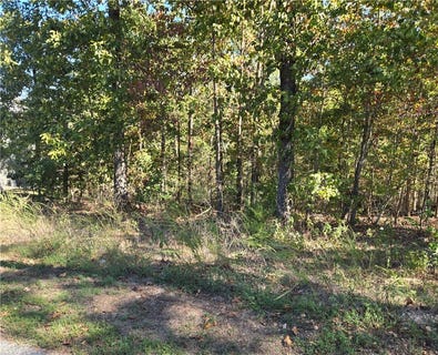 /international/us/murphy-drive-lot-13-bella-vista-ar-110120578632/