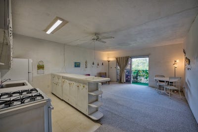 /international/us/355-orchid-manor-hilo-hi-110106785815/