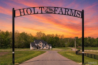 /international/us/lot-28-holt-farm-drive-wentzville-mo-110108815252/