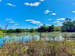 /international/us/125-matanzas-road-debary-fl-110120001049/