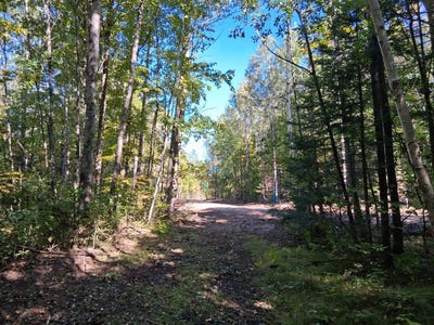 /international/us/20-national-trail-star-lake-road-crandon-wi-110120138591/