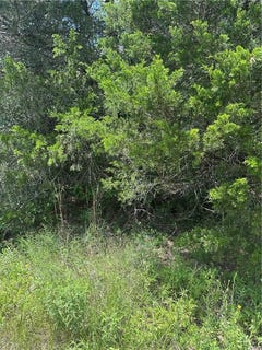 /international/us/0-chestnut-drive-caldwell-tx-110100529732/