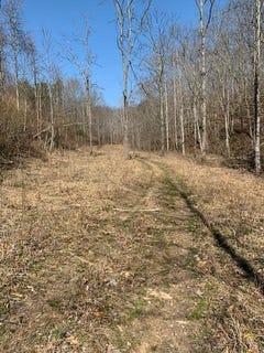 /international/us/0000-haney-branch-road-west-liberty-ky-110077890666/